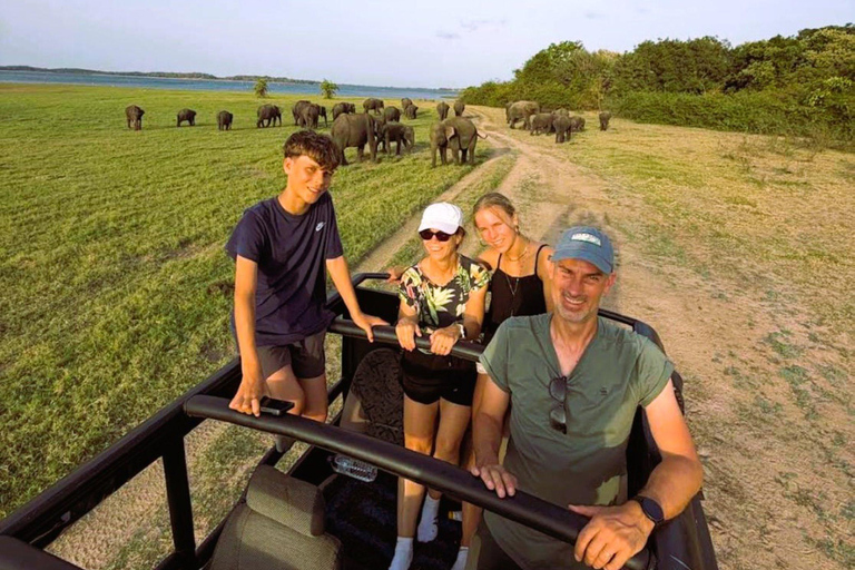 Minneriya National Park Safari & Pidurangala Sunset Hike