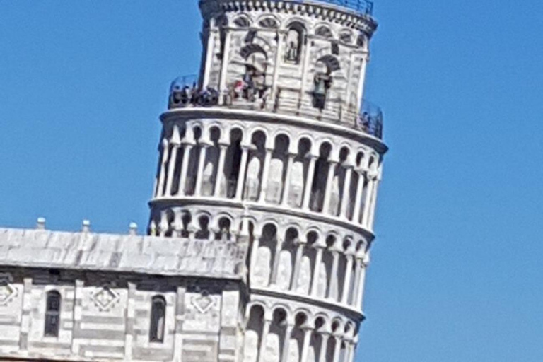 Tour privado de un día a Pisa desde Roma