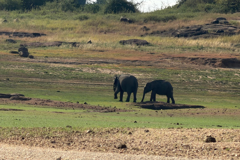 Ella: Gal Oya National Park Wildlife Boat Safari with Pickup