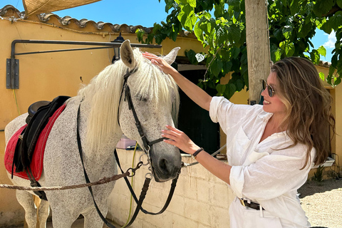 El Cotillo: Sunset Cliff Horseback Ride with Drink