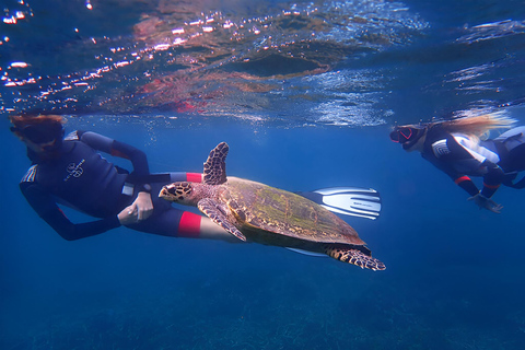 From Colombo: Trincomalee 3-Day Private Tour with Hotel