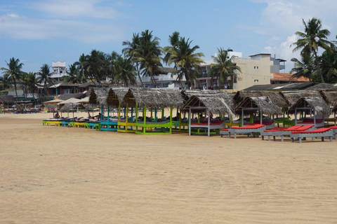 Colombo: 3-Day Trincomalee Beach & Whale Watching Tour