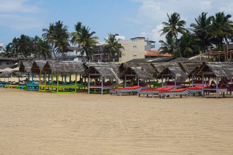 Colombo: 3-Day Trincomalee Beach & Whale Watching Tour