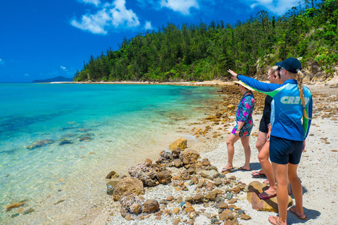 From Daydream: Whitsundays and Whitehaven Half-Day Cruise Afternoon Cruise