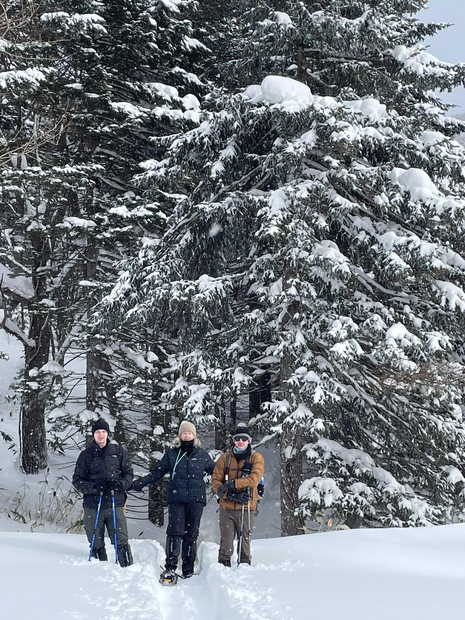 Shikotsu-Toya-Nationalpark: Geführte Schneeschuhwanderung und Onsen