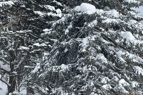 Shikotsu-Toya National Park: Guided Snowshoe Hike and Onsen Shikotsu-Toya National Park: Guided Snowshoe Hike and Onsen.