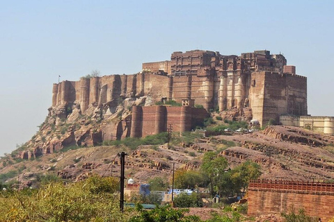 Excursão de 1 dia ao património de Jodhpur