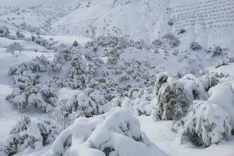 Atlasbergen Trek Azzaden Valley och Imlil 2 dagar