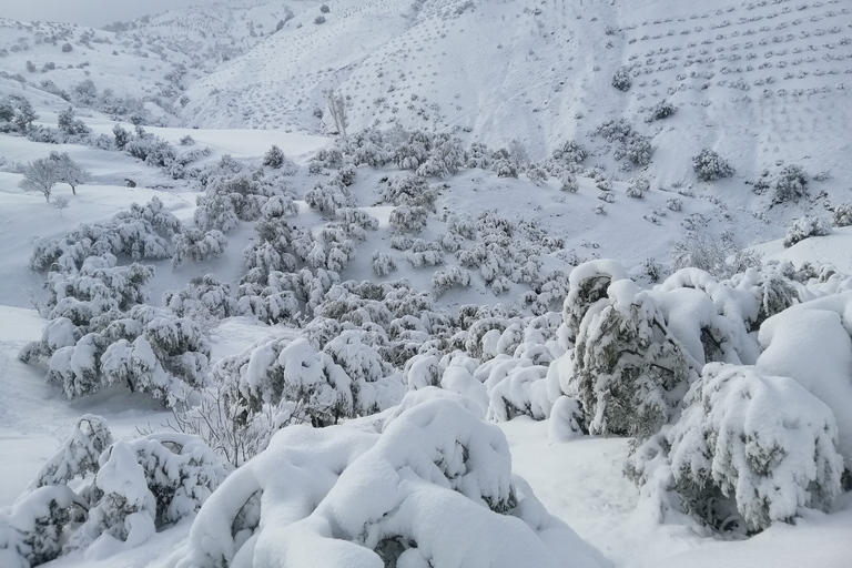 Trek dans l'Atlas Vallée d'Azzaden et Imlil 2 jours