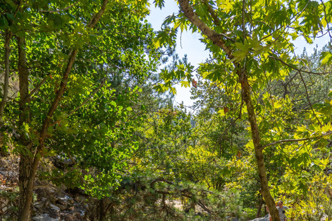 Thassos: Jeep Safari to Kastro, Ipsarion, and Maries