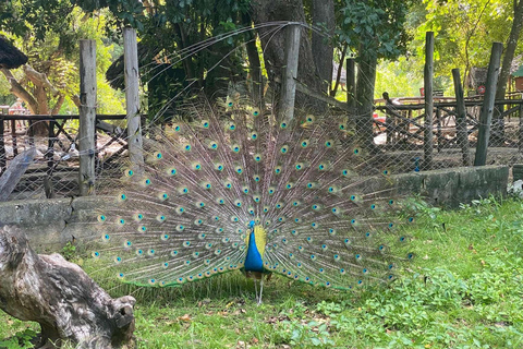 Zanzibar: tour delle piantagioni di spezie, Prison Island con giro in barcaTour privato con servizio di prelievo e rientro in hotel incluso
