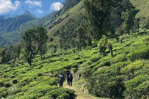 Kandy: Hidden Highlands Nature Walk