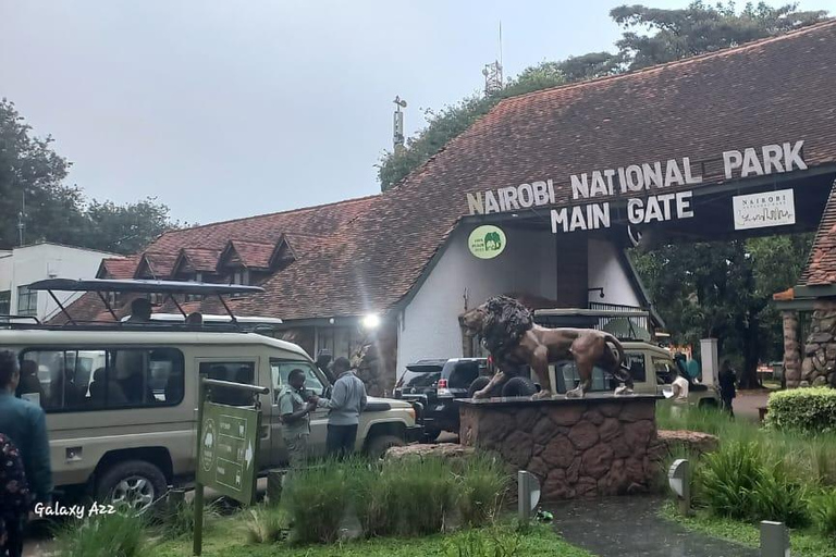 PARQUE DE NAIRÓBI, ORFANATO DE ELEFANTES, EXCURSÃO DE UM DIA AO CENTRO DE GIRAFAS.