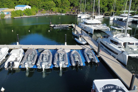 Saint Martin: Boat excursion between beaches, lagoon, and a stop at Maho