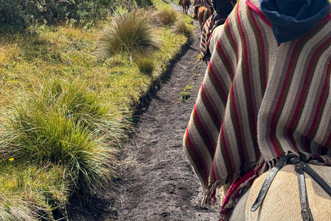 Quito: 2-Day All-Inclusive Cotopaxi Adventure