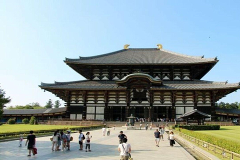 Nara attractive tour