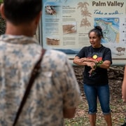 Cape Byron Aboriginal Tour