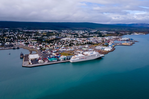 Akureyri: Tour guiado na cidade para observação de baleias