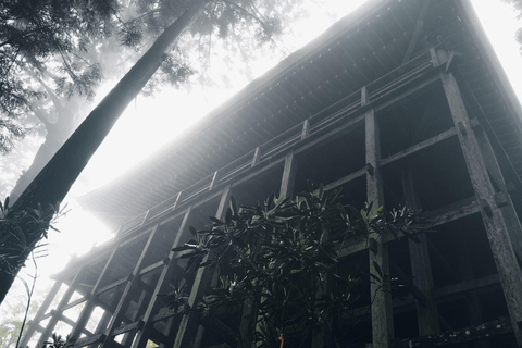 Nara: Muro-ji Temple – Serenity, Tradition and Sacred Beauty