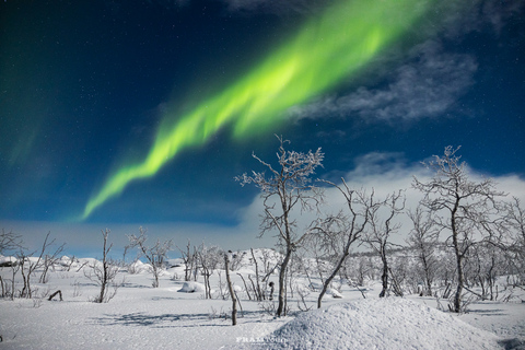 Tromso: Expedición de caza y fotografía de auroras boreales