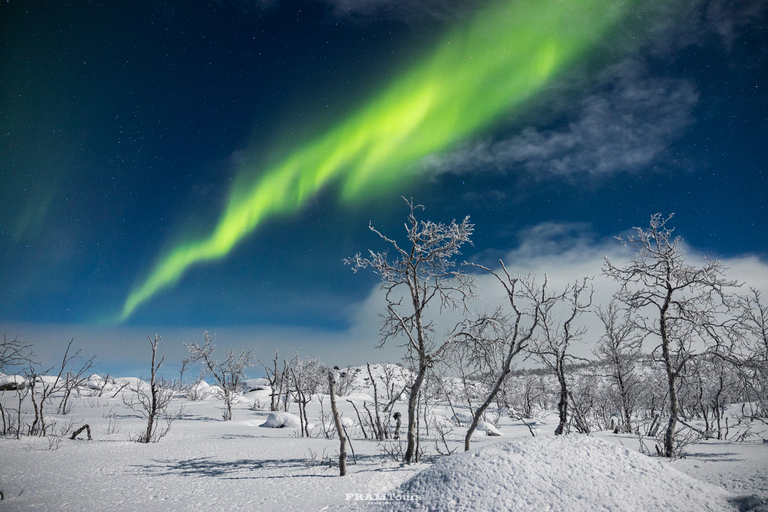 Tromsö: Norrskenstur med fotograf