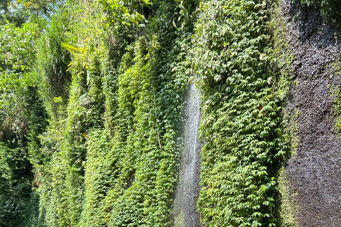 Ubud : Hidden Jungle River Tubing Adventure With Lunch Tubing Adventure with Lunch & Hotel Pickup