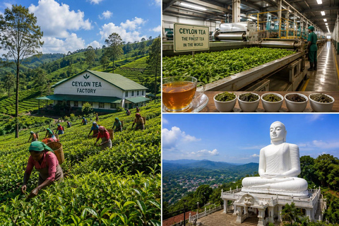 Sigiriya: Kandy Drop Tour with Temple & cultural experience From Sigiriya: Kandy Day Tour By Tuk Tuk