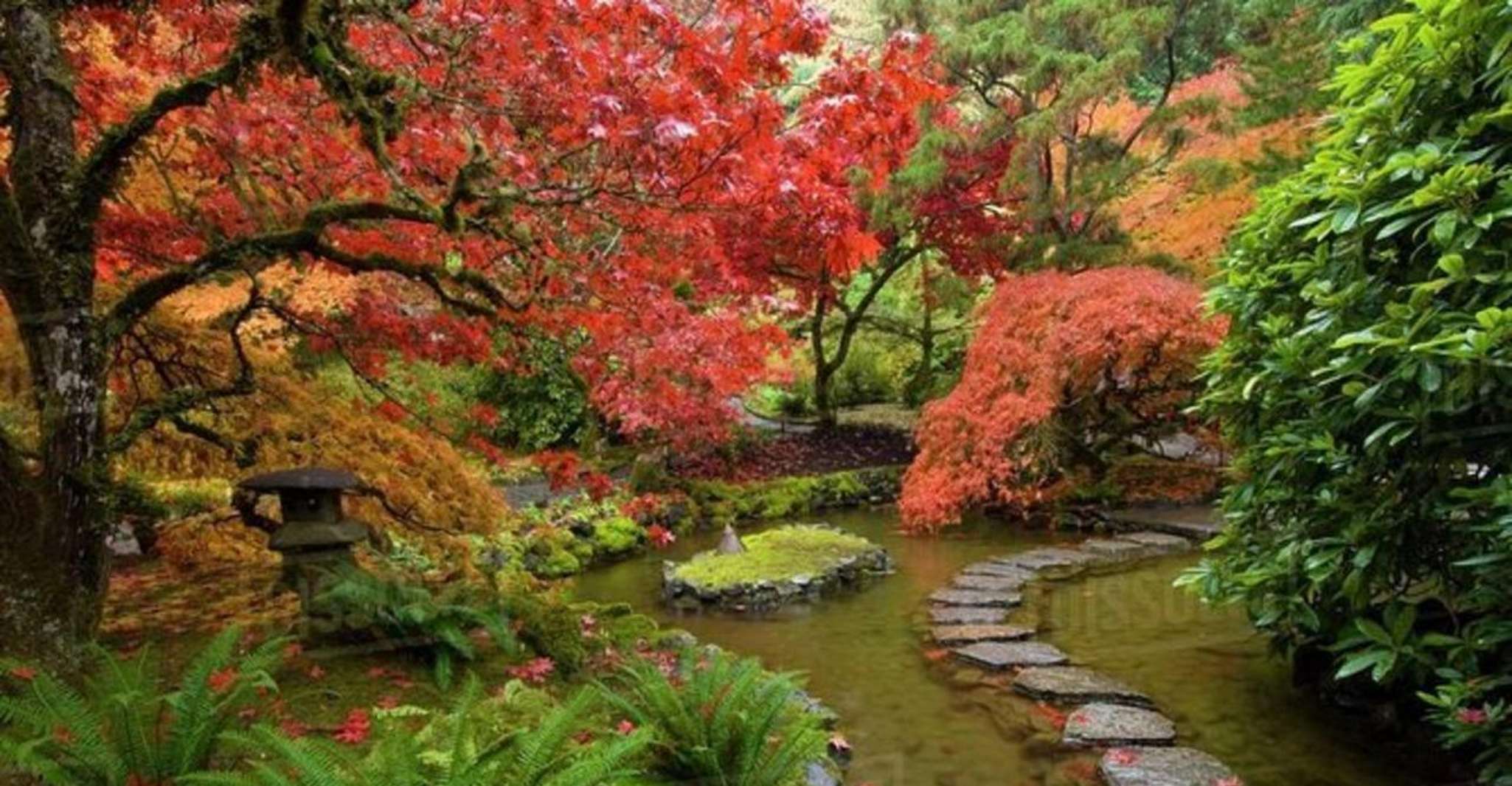 Visit Craigdarroch Castle and Butchart Garden Private - Hizvo