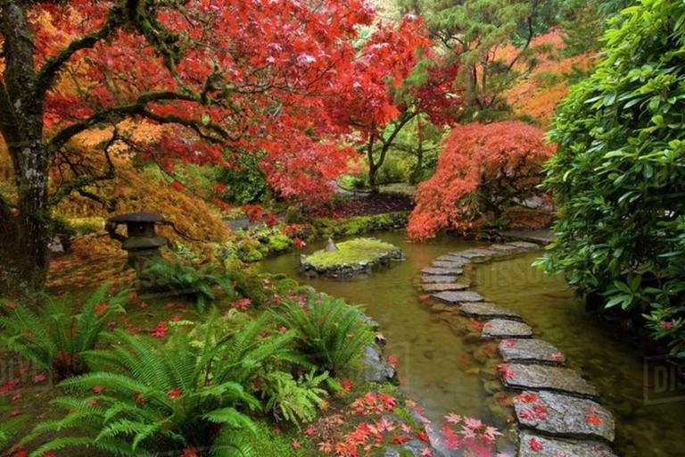 Visite Craigdarroch Castle e Butchart Garden Private