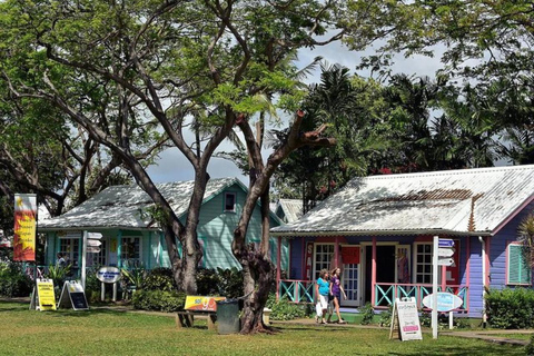 Barbados: Excursão panorâmica de meio dia de costa a costa