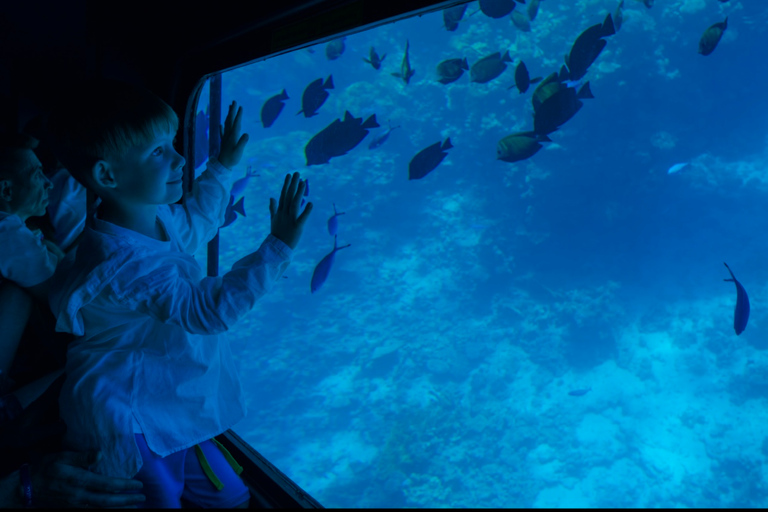 Royal Seascope Submarine Sharm