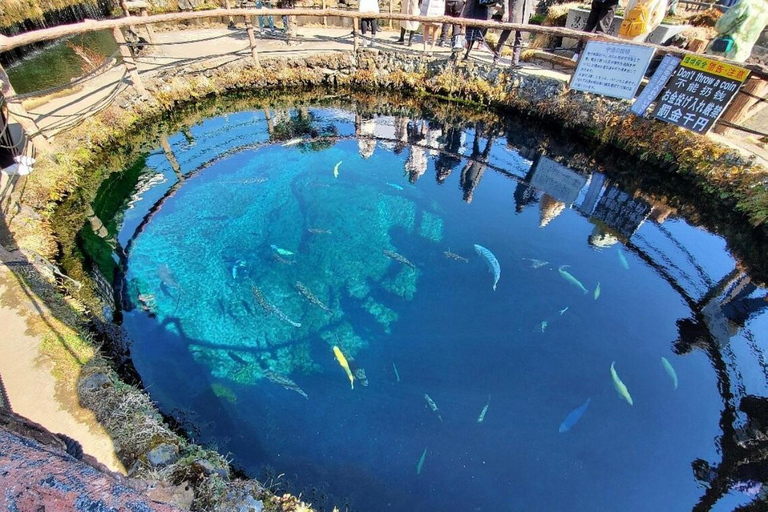 Mt Fuji Sightseeing Private tour with English Speaking Guide