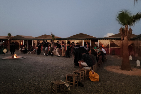 Marrakech Desert: Pool, Quad Biking, Sunset Dinner Fire Show