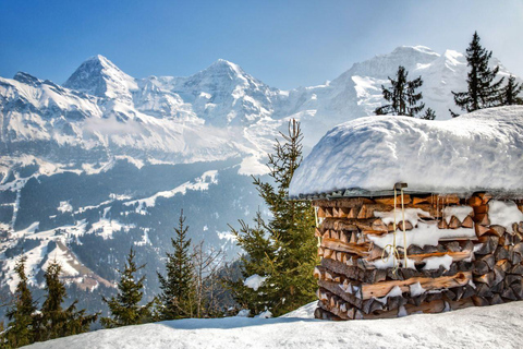 Schweiz: snöskovandring privat tur