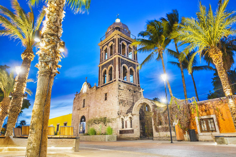 Magia di Mendoza: tour a piedi dell&#039;avventura andina