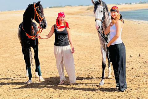 الغردقة: جولة ركوب الخيل في الصحراء والبحر مع خيار السباحةجولة لمدة ساعتين لركوب الخيل بدون السباح