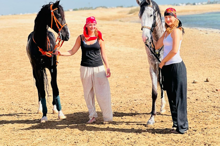 الغردقة: جولة ركوب الخيل في الصحراء والبحر مع خيار السباحةجولة لمدة ساعتين لركوب الخيل بدون السباح