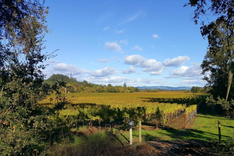 San Francisco: 5-Day California Coast, Vineyards & Wine Tour Double Occupancy Room