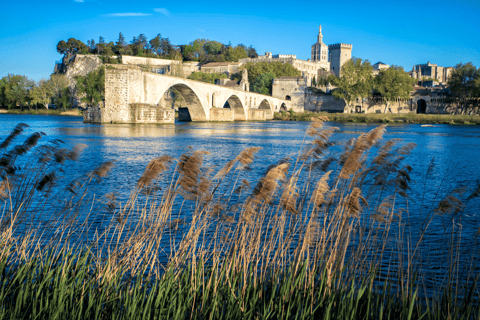 Avignon : pique-nique gourmand avec vue sur le Pont d&#039;Avignon