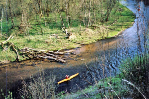 Vilnius: Vilnelė River Kayak Rental with Scenic City Views