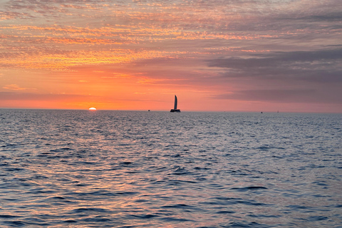 Marco Island: Dolphin, Shelling, Beach & Ten Thousand Island 4 Hour Option
