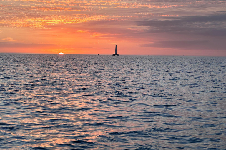 Marco Island: Dolphin, Shelling, Beach & Ten Thousand Island 4 Hour Option
