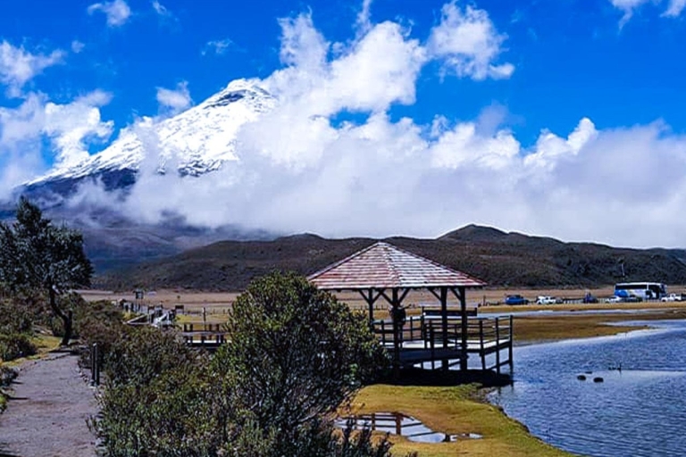 Cotopaxi and Quilotoa Tour in One Day - All Entrance Cotopaxi and Quilotoa Private Tour: Tickets and Lunch