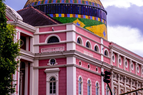Manaus: Novo Airão Day Trip with Dolphin Watching
