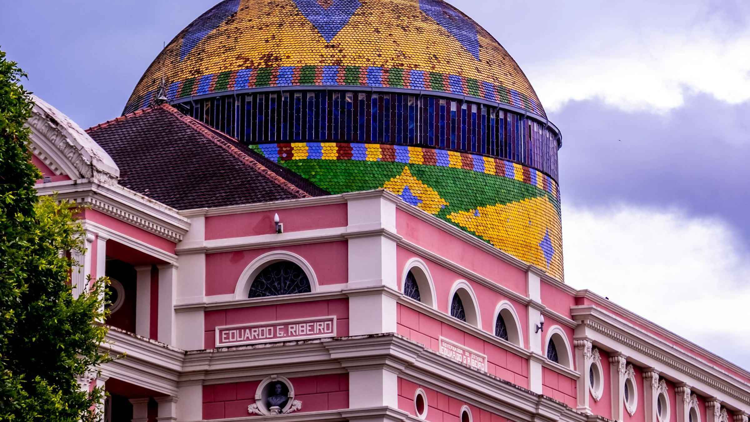 Manaus: Viagem de um dia a Novo Airão com observação de golfinhos