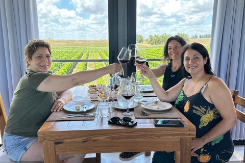 Colonia Weinerlebnis zum ältesten Weingut in UruguayBesuche das älteste Weingut von Colonia