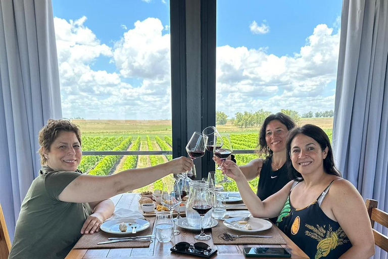 Colonia Weinerlebnis zum ältesten Weingut in UruguayBesuche das älteste Weingut von Colonia