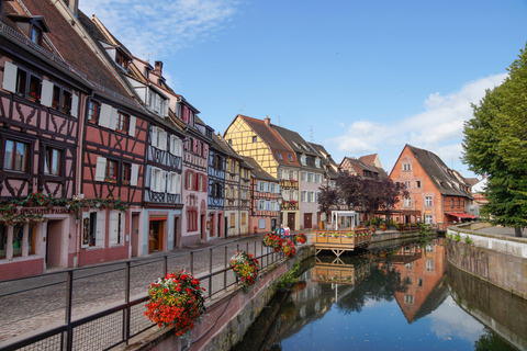 Desde Basilea: excursión de un día a Colmar, Hohkönigsburg, RibeauvilléDesde Basilea: excursión de un día a Colmar, Hohkönigsburg y Ribeauvillé