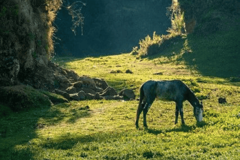 2-Day Wenchi Crater Lake & Ethiopian Highland Experience