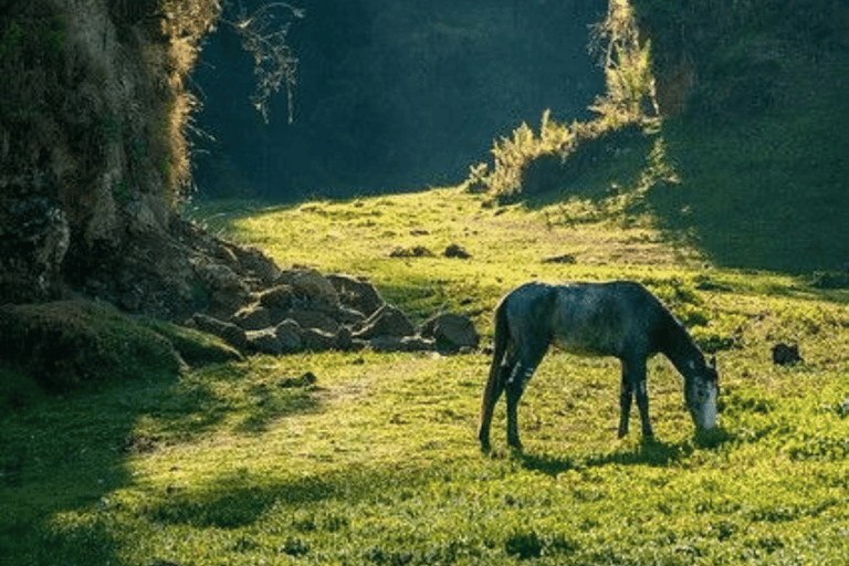 2-Day Wenchi Crater Lake & Ethiopian Highland Experience